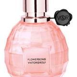 479844535279184672 ergebnis