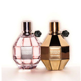 479844535279184675 ergebnis