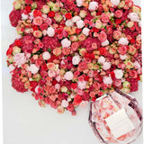 479844535279199261 ergebnis