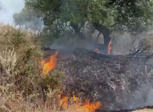 455011312 538237688729848 3786480928867519085 n.jpg?stp=dst jpg s720x720& nc cat=110&ccb=1 7& nc sid.jpg