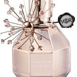 479844535279422819 ergebnis