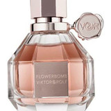 479844535278006664 ergebnis