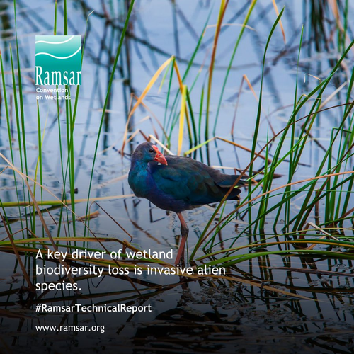 GUOnFhSX0AAf A ?format=png.png