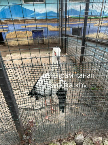 fD4K5OOlIU09pdU18VSRf xojODSkAbSzLPmReZB3a8Dn1GXYiNIiDe558eAzz2Yu3 6V5HsR9mEUkDDFU9bHVl jK60XmVjLA4 .jpg