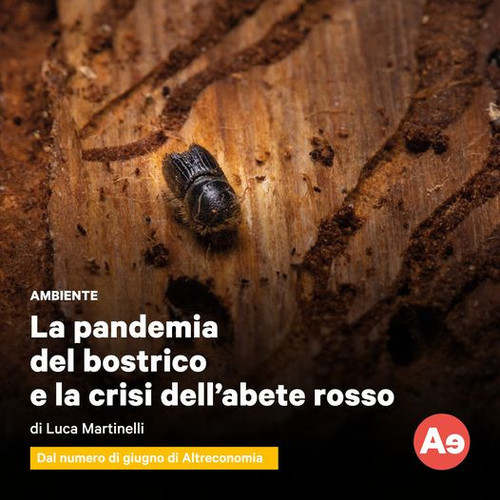 452438996 937598418379494 4311549987083664424 n.jpg?stp=dst jpg p526x296& nc cat=107&ccb=1 7& nc sid.jpg