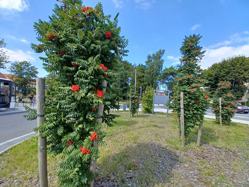 GUr96UjWgAA Uh6?format=jpg.jpg