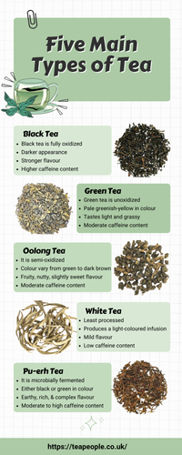 Five Main Types of Tea.png