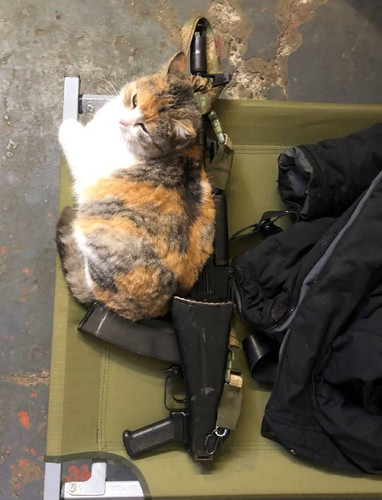 P Y2x9XvBd6HvJCGITwDO7HeS5Y8zpHCrcs hZ laRYdq6b7I2ls 0hf5aNAmVG7BN8WhCl1ZL8UKcuy4IVrwJn4 t4R9eezX3ew.jpg