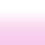 Untitled2422 20240811222012