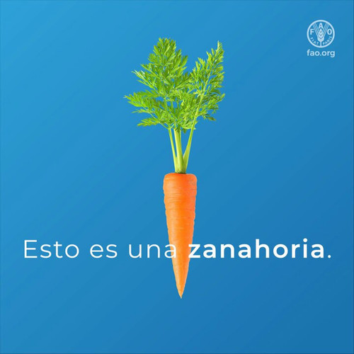 ff2gMZwio tnhuZT.jpg