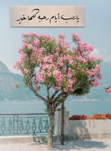 GUtSATvWUAEA2 V?format=jpg.jpg