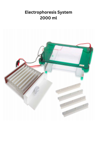 Electrophoresis System 2000 ml.png