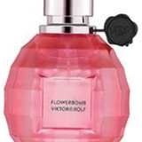 479844535279192320 ergebnis