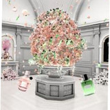 479844535279198585 ergebnis