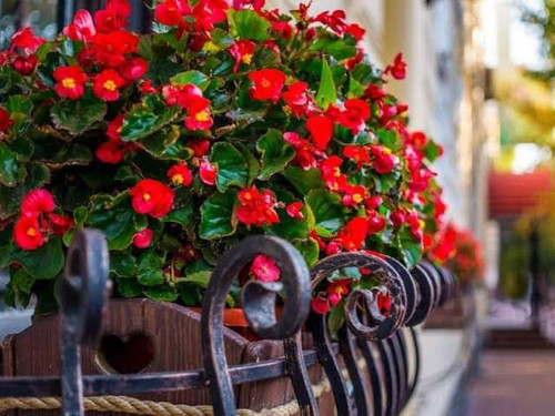 GUty5l0WUAA hv5?format=jpg.jpg