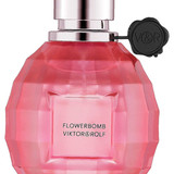 479844535278854854 ergebnis