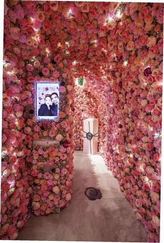 479844535279182804 ergebnis.jpg