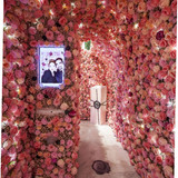 479844535279182804 ergebnis