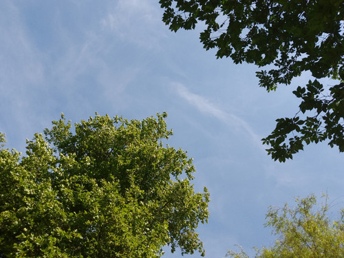 IMG 20240811 133906 950.jpg