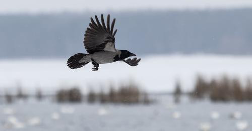 16119938146715400115?url=https%3A%2F%2Fcdn.oko.press%2Fcdn cgi%2Fimage%2Fwidth%3D1200%2Cquality%3D75.jpg