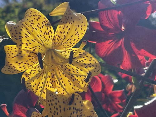 GU2Bp0eWQAA1 XM?format=jpg.jpg