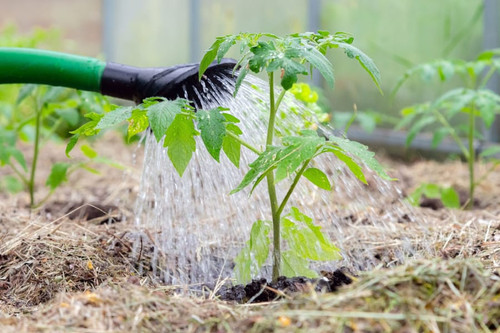 GU1 i gW0AECOfF?format=jpg.jpg