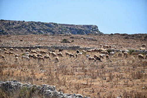 GU4E3TNXoAI iiR?format=jpg.jpg