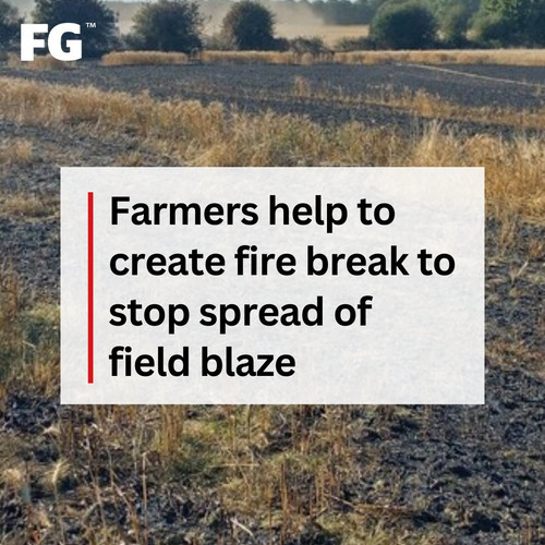 GU5G5Y0WYAAm 7F?format=jpg.jpg