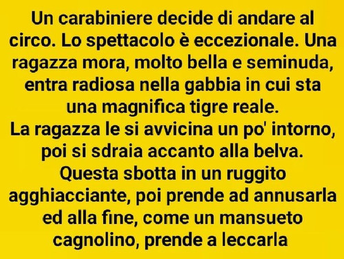 455037579 819315076992894 6244735975370587242 n.jpg?stp=dst jpg p180x540& nc cat=100&ccb=1 7& nc sid.jpg
