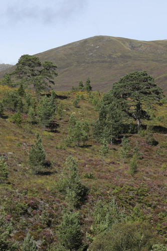 GUzv 5fWcAAe9cU?format=jpg.jpg