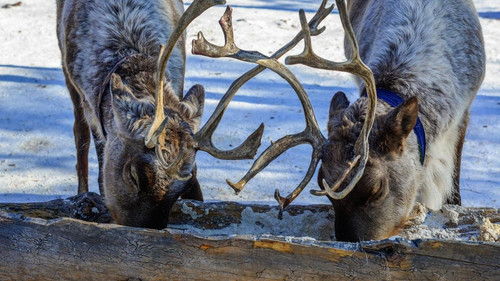 GU1 TXpbgAAPkx6?format=jpg.jpg