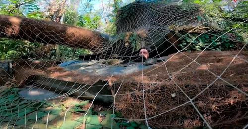 2409419379292513565?url=https%3A%2F%2Fwww.ilpost.it%2Fwp content%2Fuploads%2F2024%2F08%2F13%2F172352.jpg