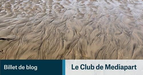 6499007184507588340?url=https%3A%2F%2Fbuffer media uploads.s3.amazonaws.com%2F66bb024f78a30053f80afd.jpg