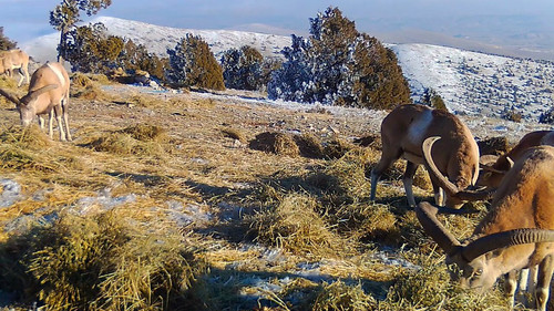 5YwdgOab5wnQuK S.jpg