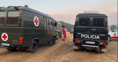 12795803083294790289?url=https%3A%2F%2Ftirananews.al%2Fwp content%2Fuploads%2F2024%2F08%2Fzjarri1 77.jpg