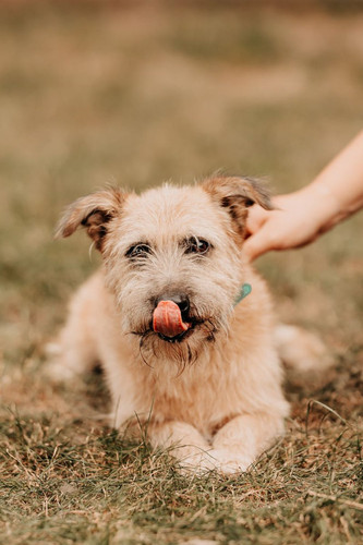 GU0EAE5XkAAL Zg?format=jpg.jpg