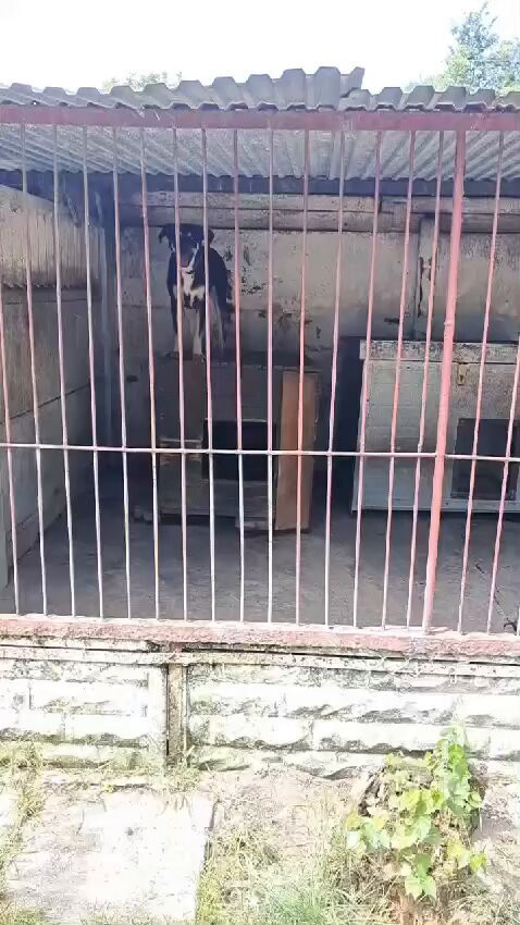 pyOvC bLghK Yqp2.jpg