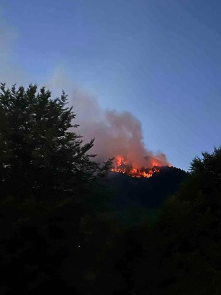 454813753 907386698080222 8710078099162257456 n.jpg?stp=dst jpg s600x600& nc cat=109&ccb=1 7& nc sid.jpg