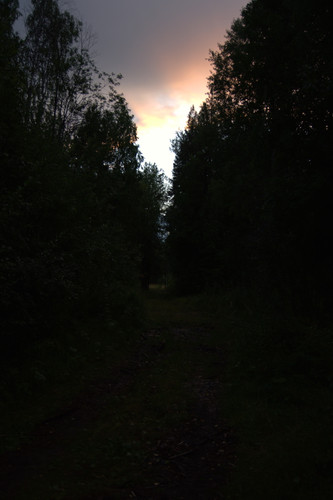 DSC 0009.jpg