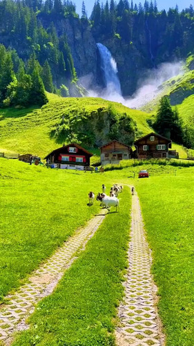 iI AZrCL3Uj8jRPY.jpg