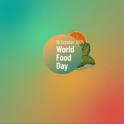 p558GAriRaHd CFm.jpg