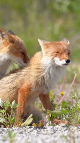 ZZd pxxkbWNo1cGv.jpg