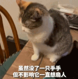 M6ZR1IqVdtp9Nma.gif