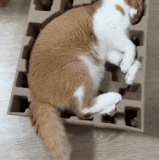 严丝合缝！.gif