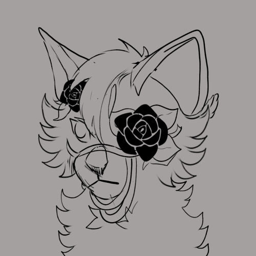 Untitled260 20240812180124.png