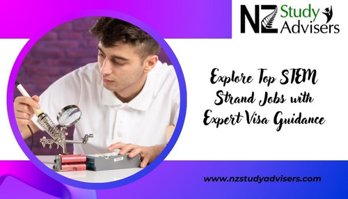 Find the Best STEM Strand Jobs with Our Expert Guidance.jpg