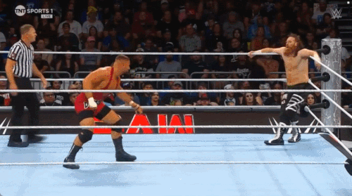 GIF 8 12 2024 9 51 42 PM.gif