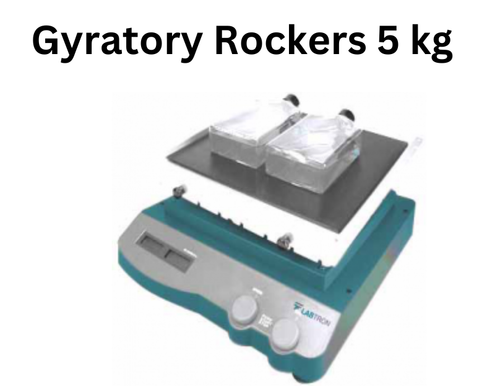 Gyratory Rockers 5 kg..png