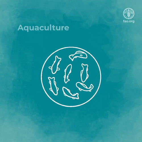 TwoD0 5imQud2 49.jpg