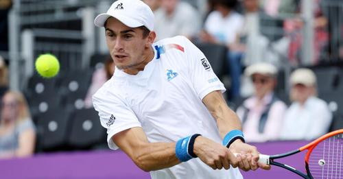 13916367517037681732?url=https%3A%2F%2Fwww.ansa.it%2Fwebimages%2Fimg 700%2F2024%2F6%2F19%2F50035551d.jpg